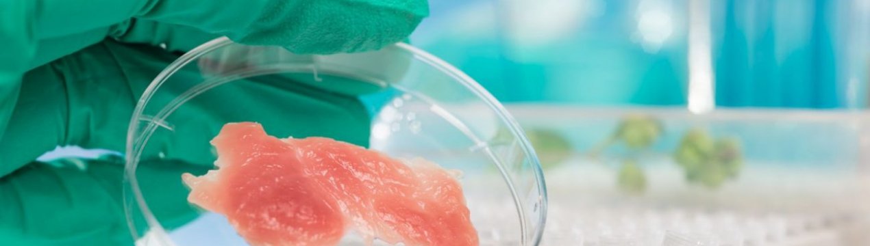 Британські вчені приєднайся до вирощування «лабораторного м'яса»