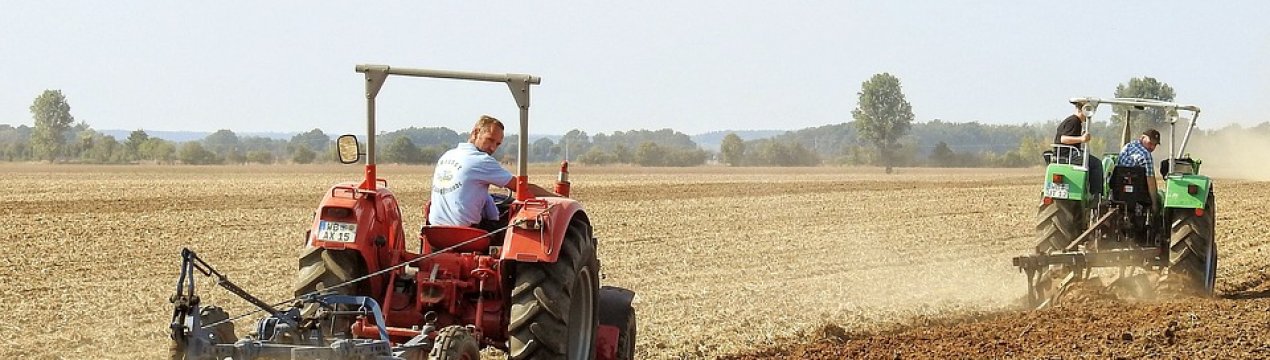 На ринку праці України великий дефіцит фахівців аграрної сфери