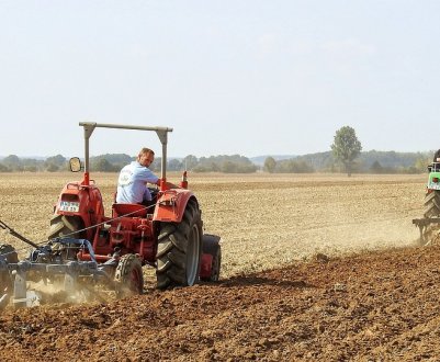 На ринку праці України великий дефіцит фахівців аграрної сфери
