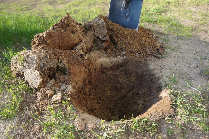 Підготовка посадкової ями