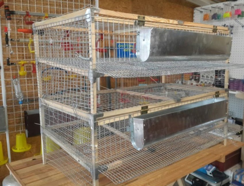 Двоярусні клітини Двоярусні клітини