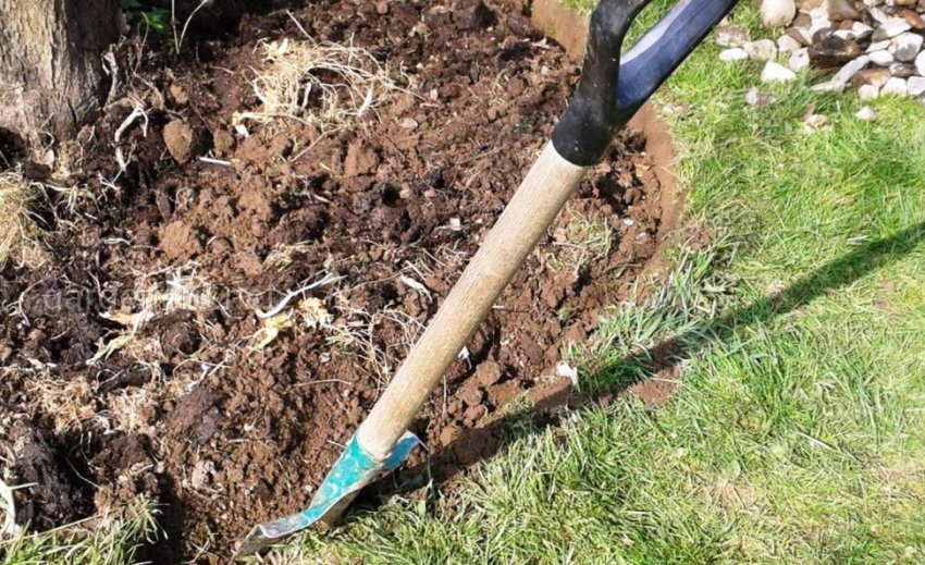 Чистка пристовбурового кола Чистка пристовбурового кола