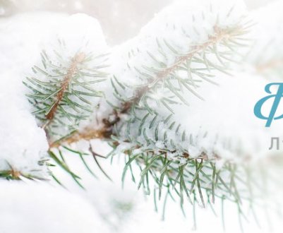 Місячний календар городника і садівника на лютий 2019 року