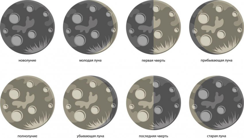 Фази місяця Фази місяця