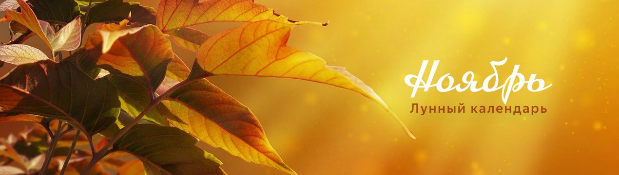 Особливості місячного календаря садівника і городника на листопад 2019 року