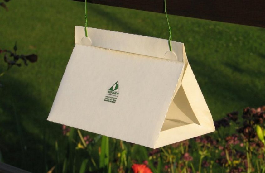 Пастки з феромонами Пастки з феромонами