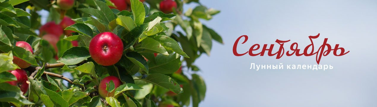 Особливості місячного посівного календаря на вересень 2019 року