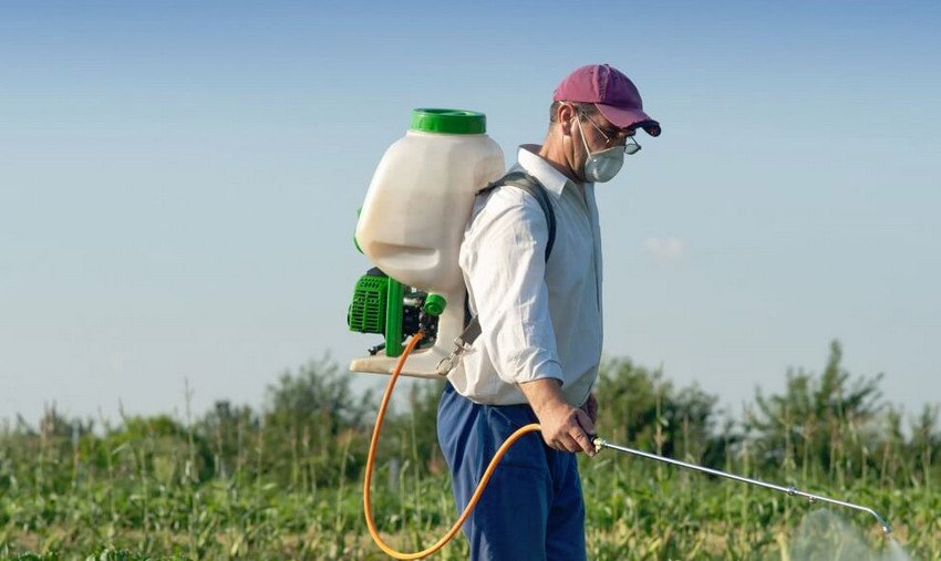Обприскування арбузов