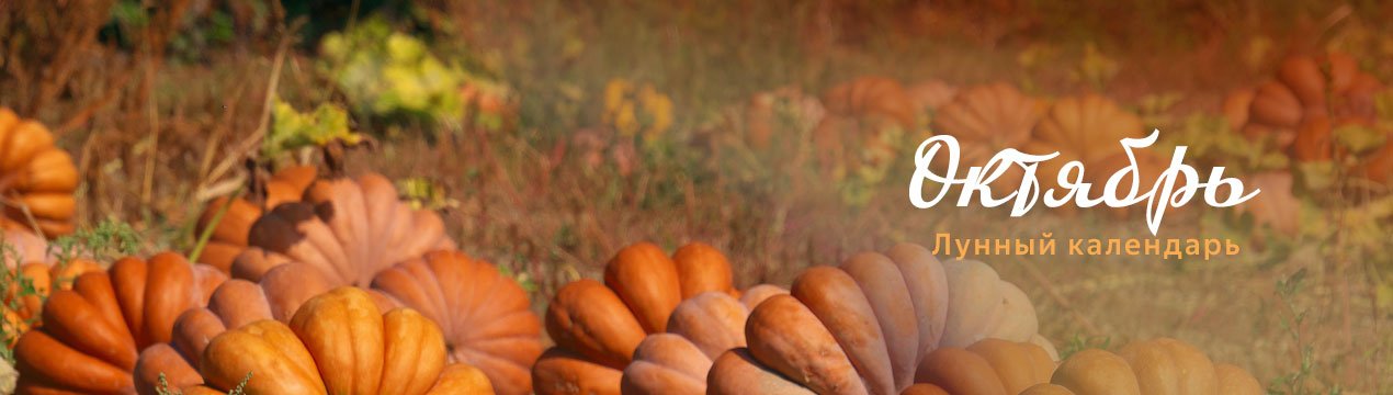 Місячний календар садівника і городника на жовтень 2019 року