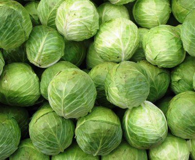 Цінник на російську капусту — все вище