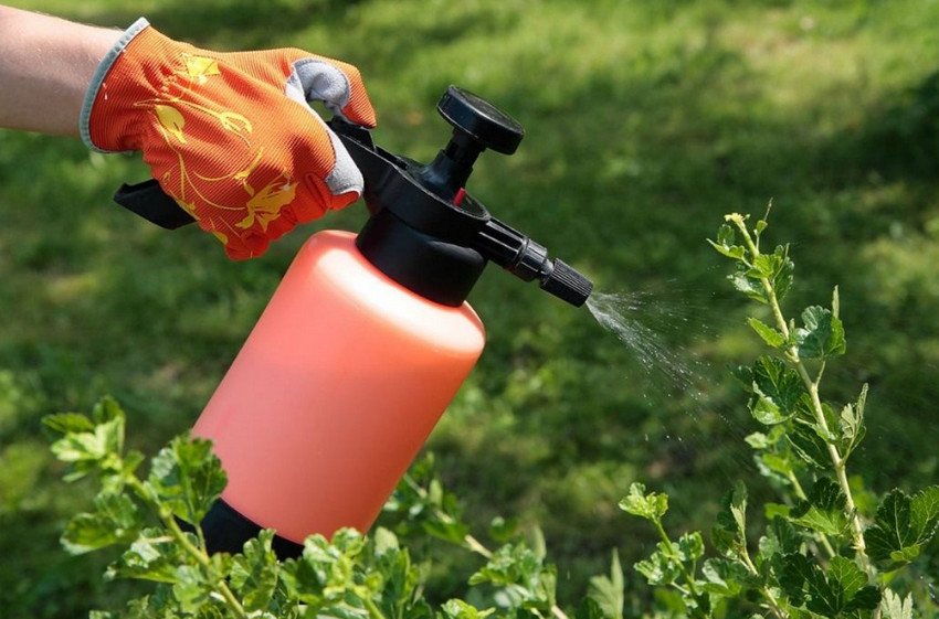 Обробка саду