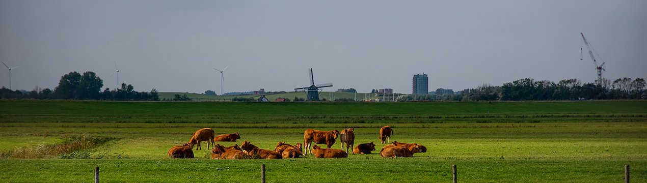 Уряд Нідерландів ініціює перевірку національного органу з безпеки харчових продуктів