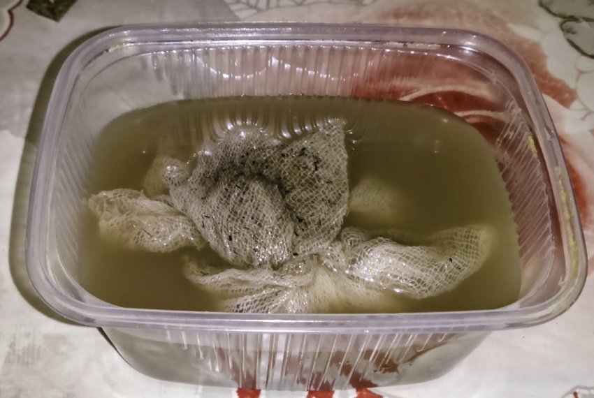 Замачивание семян моркови в золе