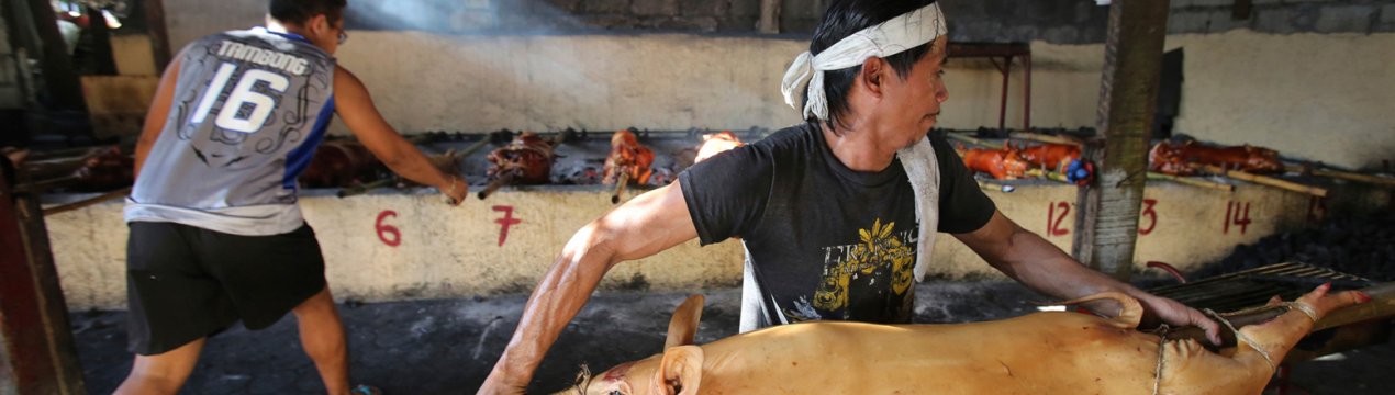 На Філіппінах хочуть обмежити імпорт свиней, щоб запобігти АЧС