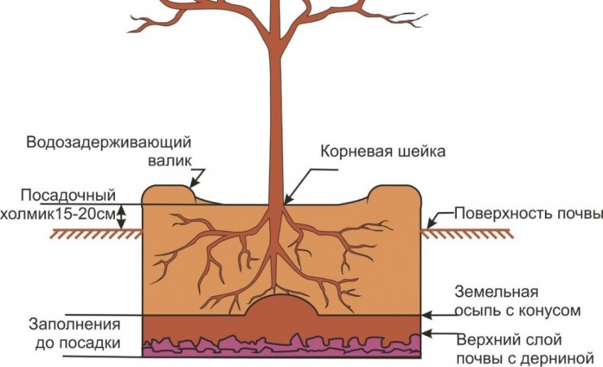 Технологія посадки