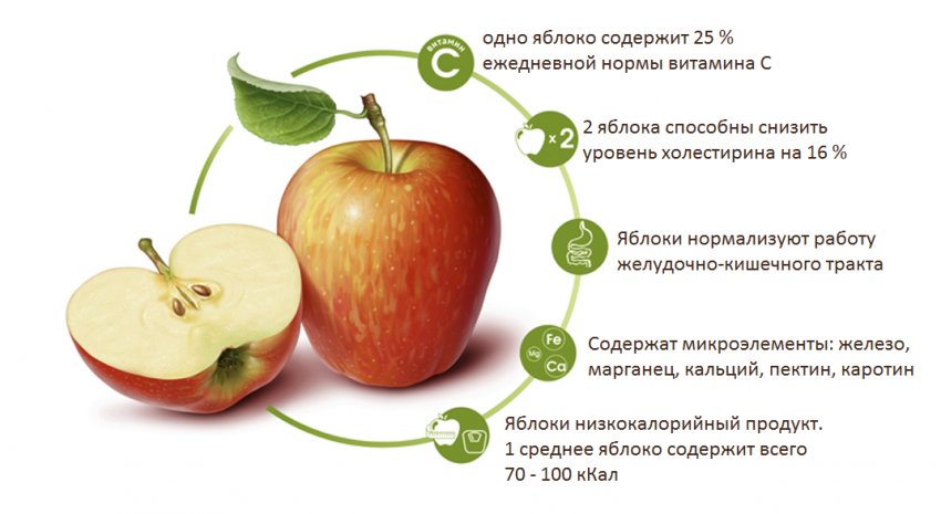 Чем полезны яблоки