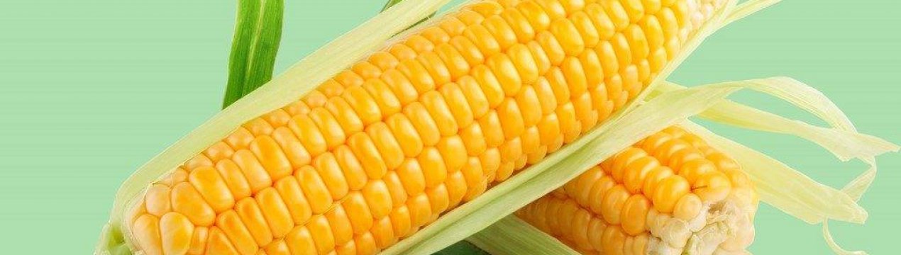 Пошкоджують урожай черв'яки викликають особливу тривогу в Азії