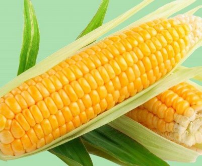 Пошкоджують урожай черв'яки викликають особливу тривогу в Азії