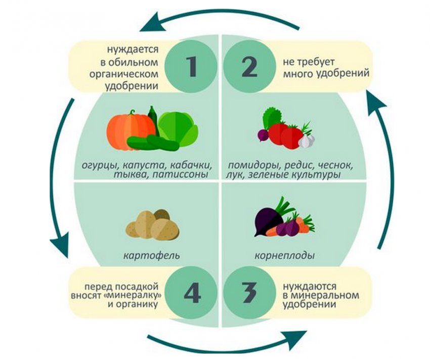 городніх культур Сівозміни