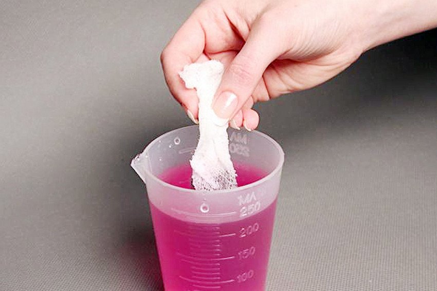 Знезараження насіння моркви Знезараження насіння моркви