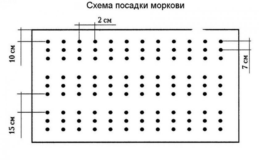 Схема посадки Схема посадки