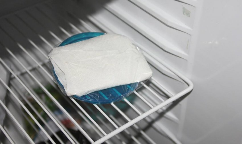 Загартовування насіння в холодильнику Загартовування насіння в холодильнику