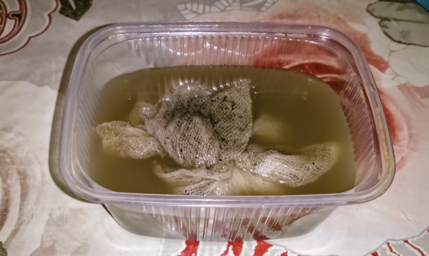 Биостимулирование насіння моркви Биостимулирование насіння моркви