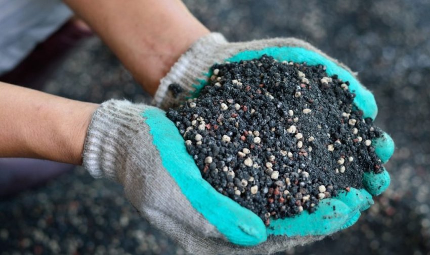 Підживлення моркви Підживлення моркви