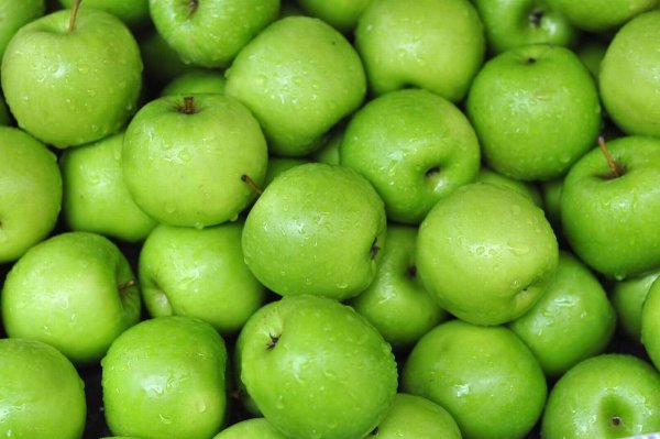 Яблоки семеренко описание и характеристики сорта польза и вред выращивание
