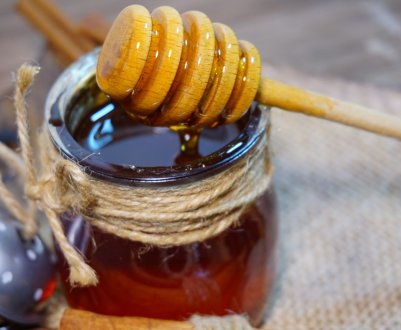 Хвойний мед: опис, цілющі властивості і протипоказання