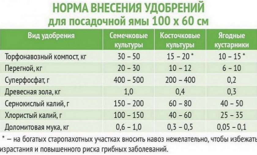 Схема внесения удобрений Схема внесения удобрений