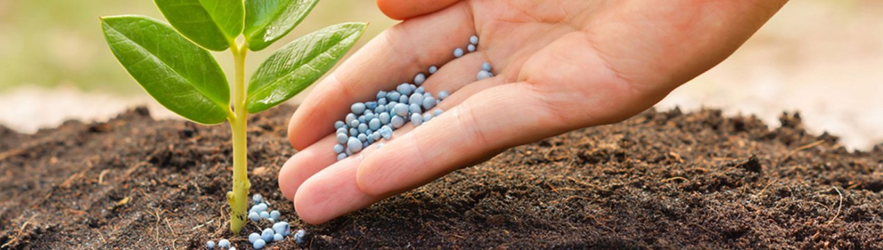 Оцінка світового ринку добрив