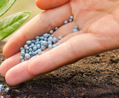 Оцінка світового ринку добрив