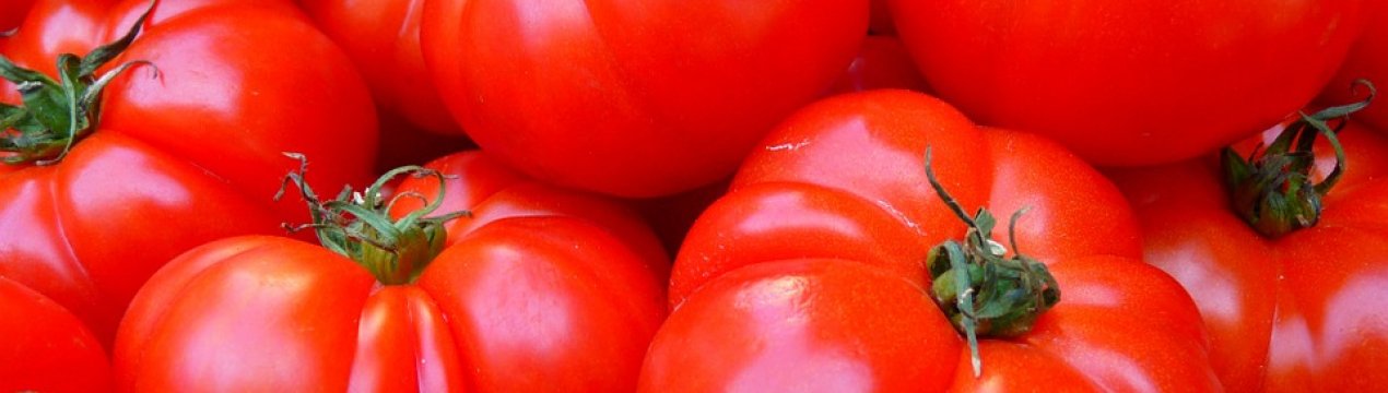 У 2019 році Agrofusion виростить ще більше томатів