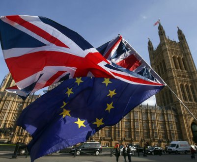 Безмитний імпорт продовольства згубний для Великобританії, попереджає Союз фермерів Ольстера