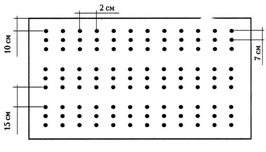 Посів цибулі
