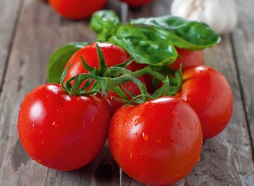 В 2019 году Agrofusion вырастит ещё больше томатов В 2019 году Agrofusion вырастит ещё больше томатов