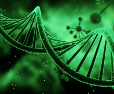 Прорив у боротьбі з хворобами рослин