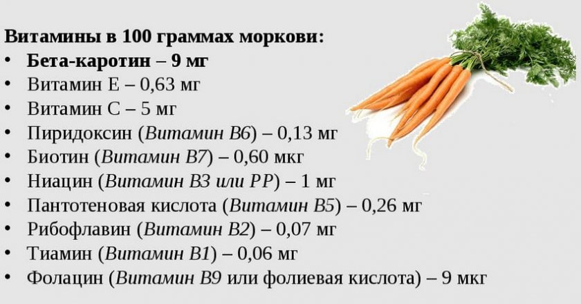 Полезные свойства моркови Полезные свойства моркови