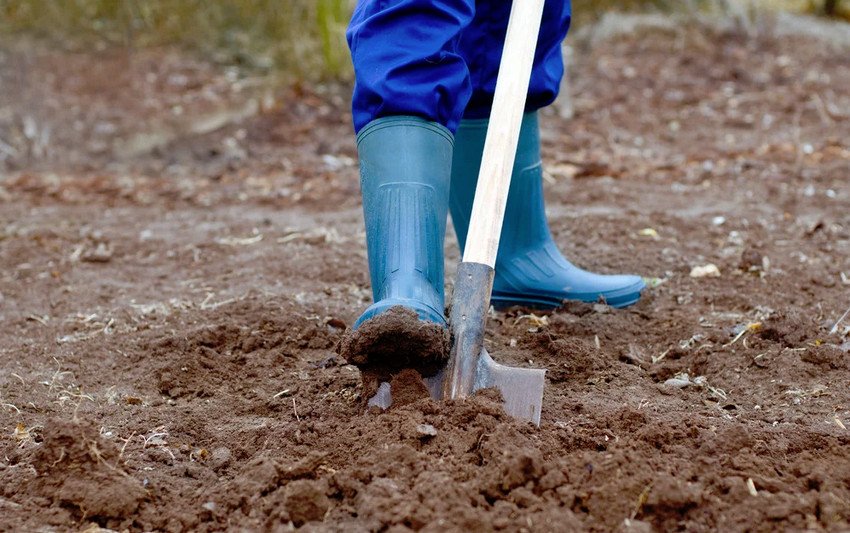 Перекопування грунту