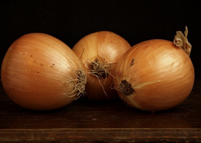 Цибулю Шетана Цибулю Шетана