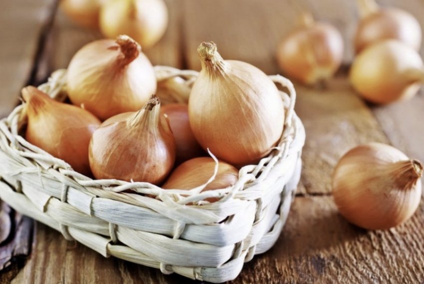 Цибулю сорту Шетана Цибулю сорту Шетана