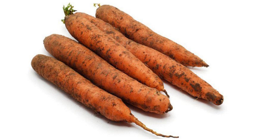 Морковь сорта Император