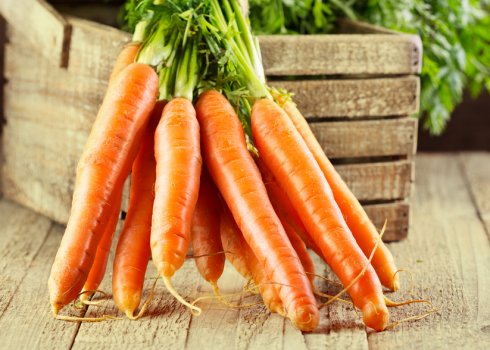 Морковь сорта Император: характеристика и особенности выращивания