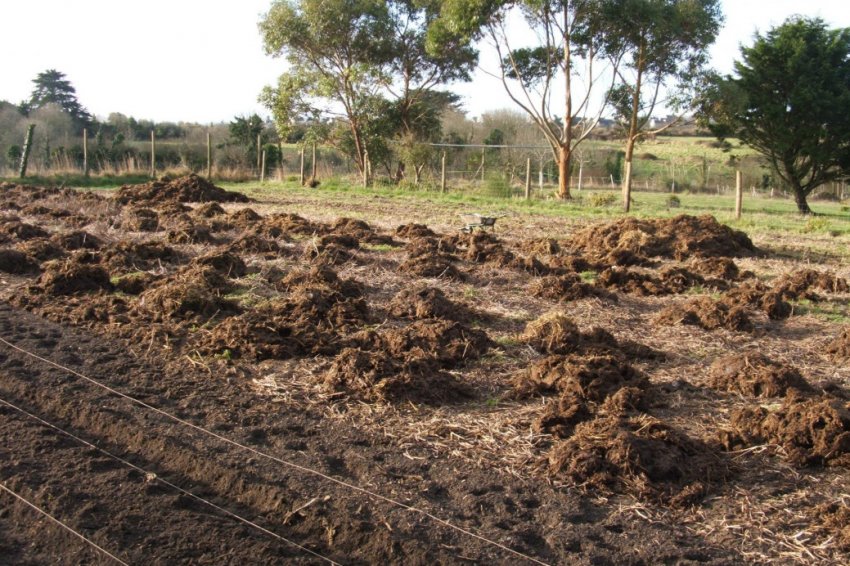 Внесення органічних добрив Внесення органічних добрив