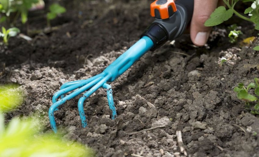 Розпушування пристовбурового кола Розпушування пристовбурового кола