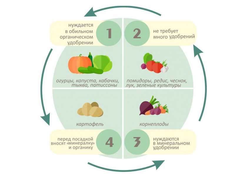 Сівозміна овочів Сівозміна овочів