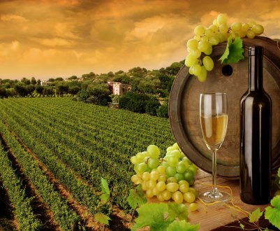 Роскачество впровадить електронного «сомельє» у російських споживачів телефони