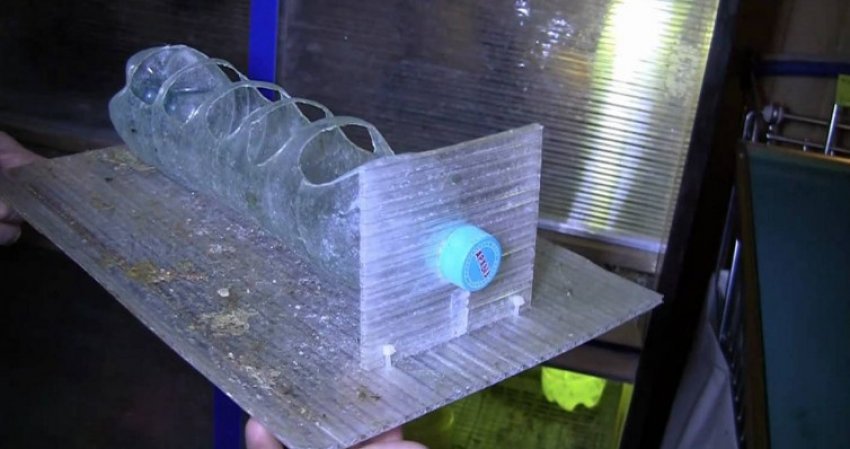 Годівниця з пластикової пляшки