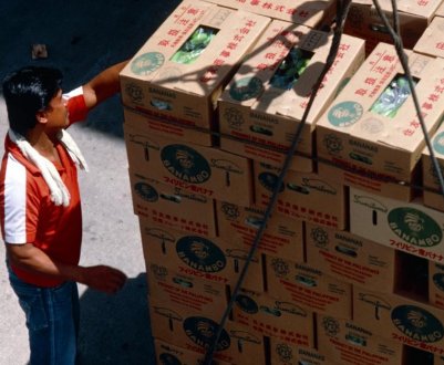 Білорусь відкриває свій ринок для сільгосппродукції Філіппін